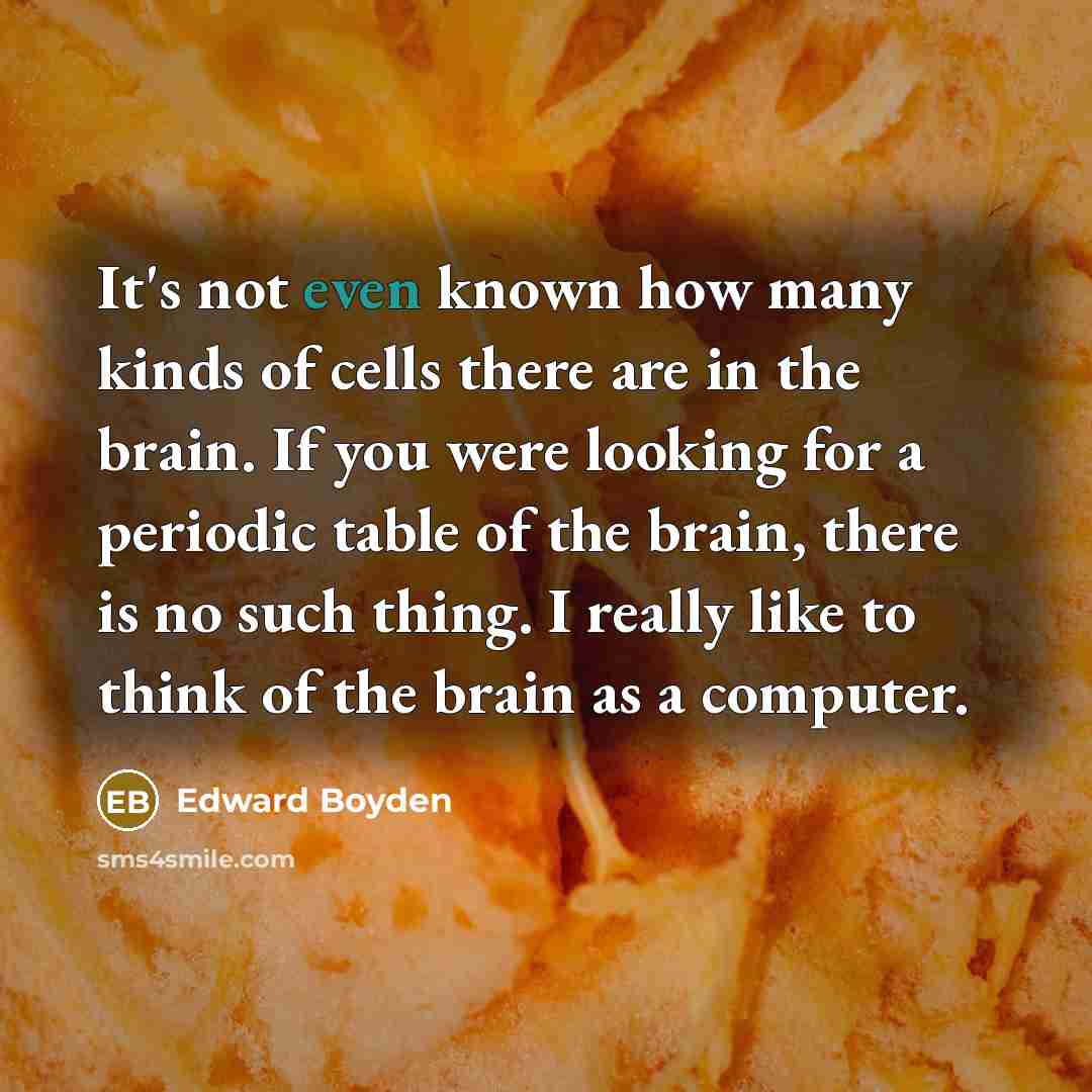 “It's not even known how many kinds of cells there…” quote by Edward Boyden