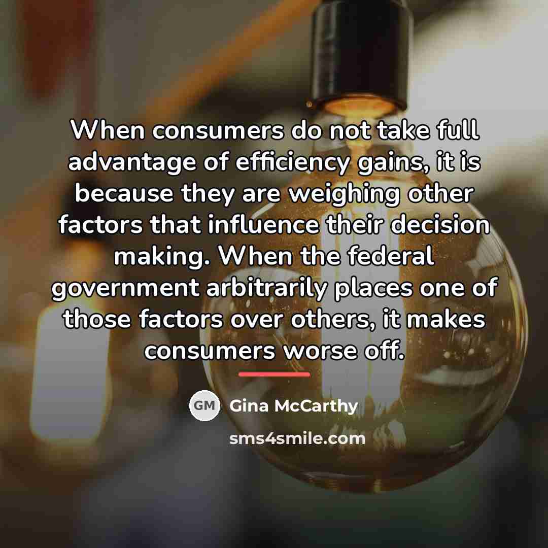 “When consumers do not take full advantage of efficiency gains,…” quote by Gina McCarthy
