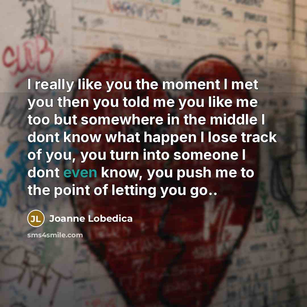 “I really like you the moment I met you then…” quote by Joanne Lobedica