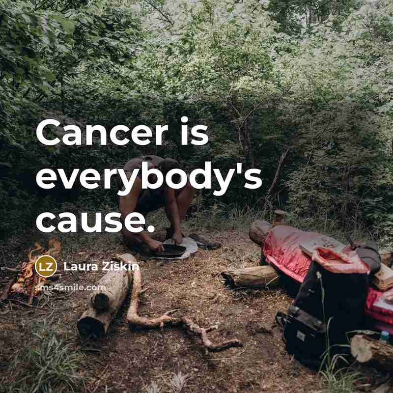 “Cancer is everybody's cause.…” quote by Laura Ziskin
