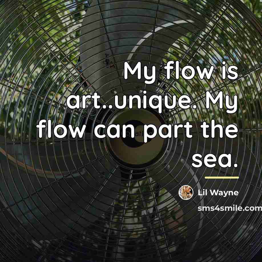 “My flow is art..unique. My flow can part the sea.…” quote by Lil Wayne