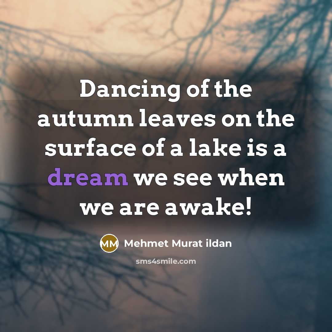 “Dancing of the autumn leaves on the surface of a…” quote by Mehmet Murat Ildan