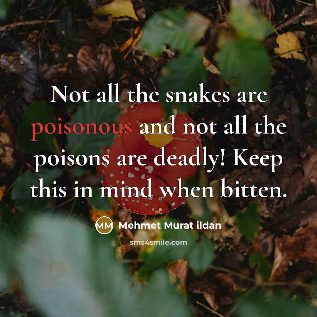“Not all the snakes are poisonous and not all the…” quote by Mehmet Murat Ildan