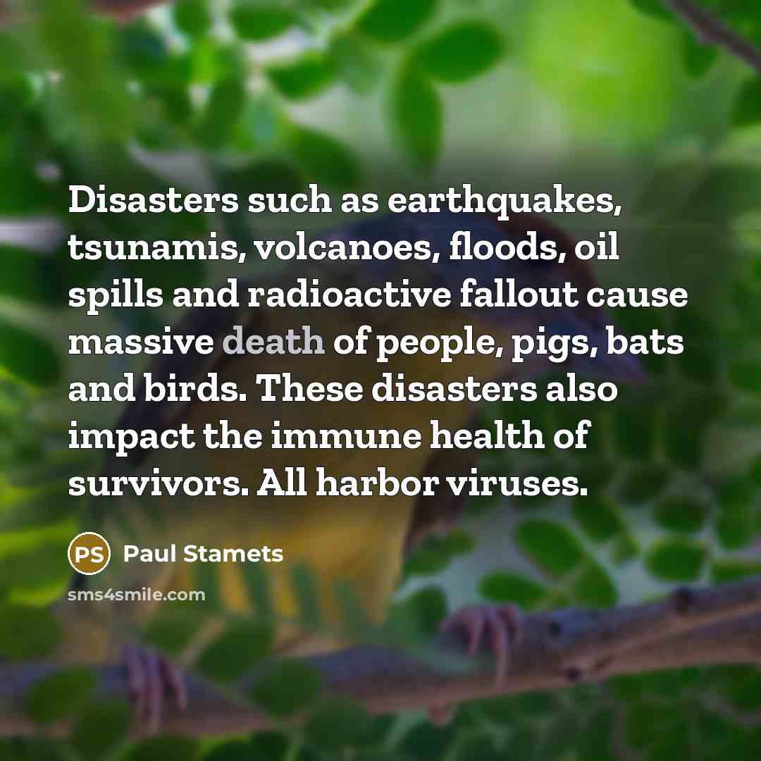 “Disasters such as earthquakes, tsunamis, volcanoes, floods, oil spills and…” quote by Paul Stamets