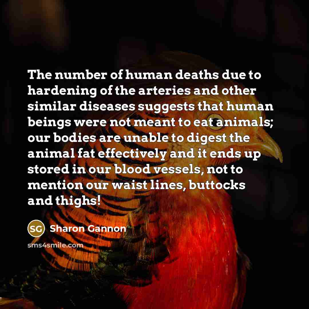 “The number of human deaths due to hardening of the…” quote by Sharon Gannon