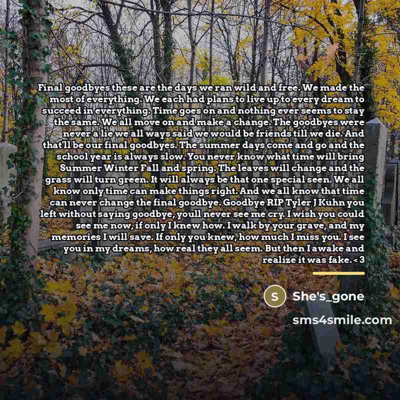 “Final goodbyes these are the days we ran wild and…” quote by She's_gone