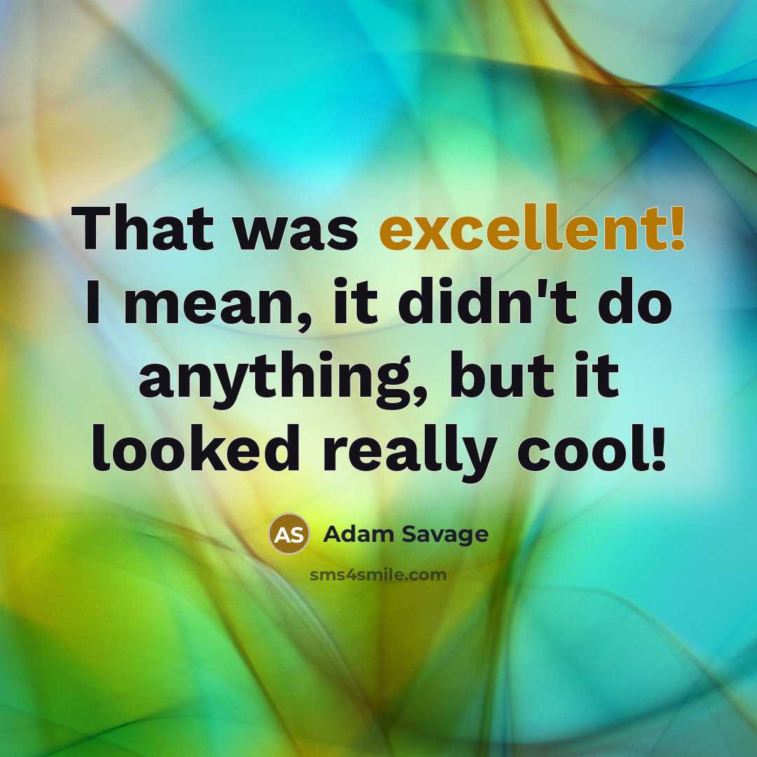 “That was excellent! I mean, it didn't do anything, but…” quote by Adam Savage