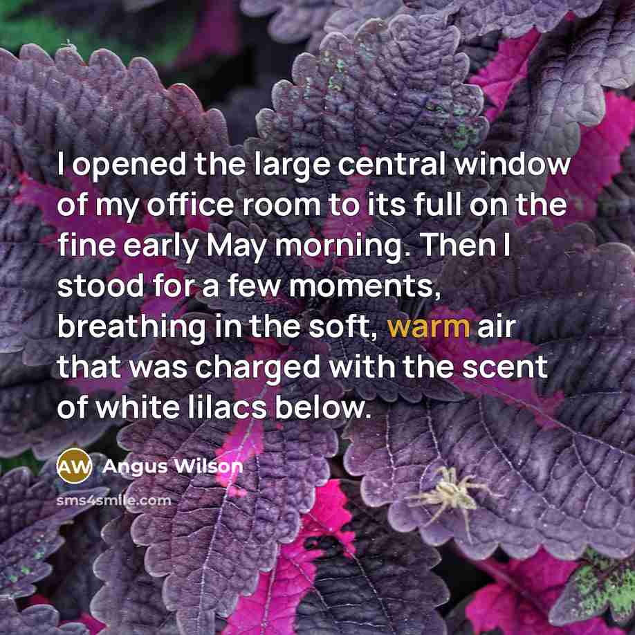 “I opened the large central window of my office room…” quote by Angus Wilson