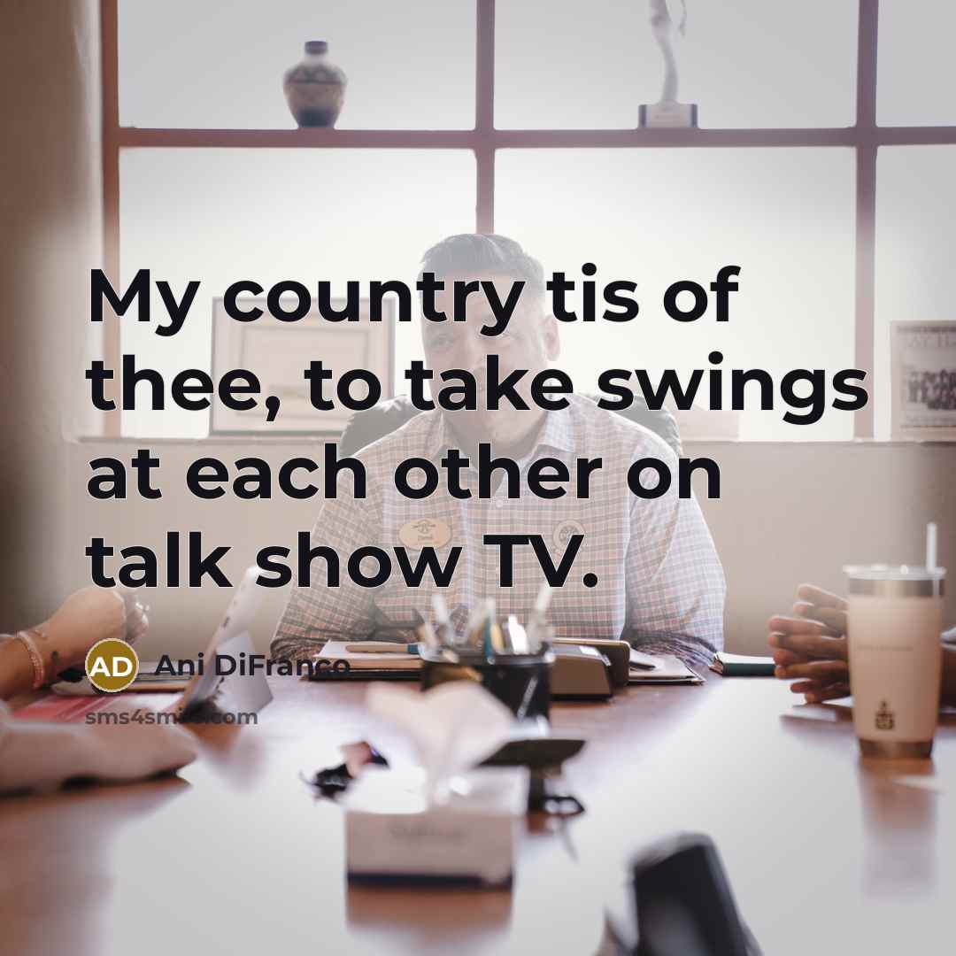 “My country tis of thee, to take swings at each…” quote by Ani DiFranco