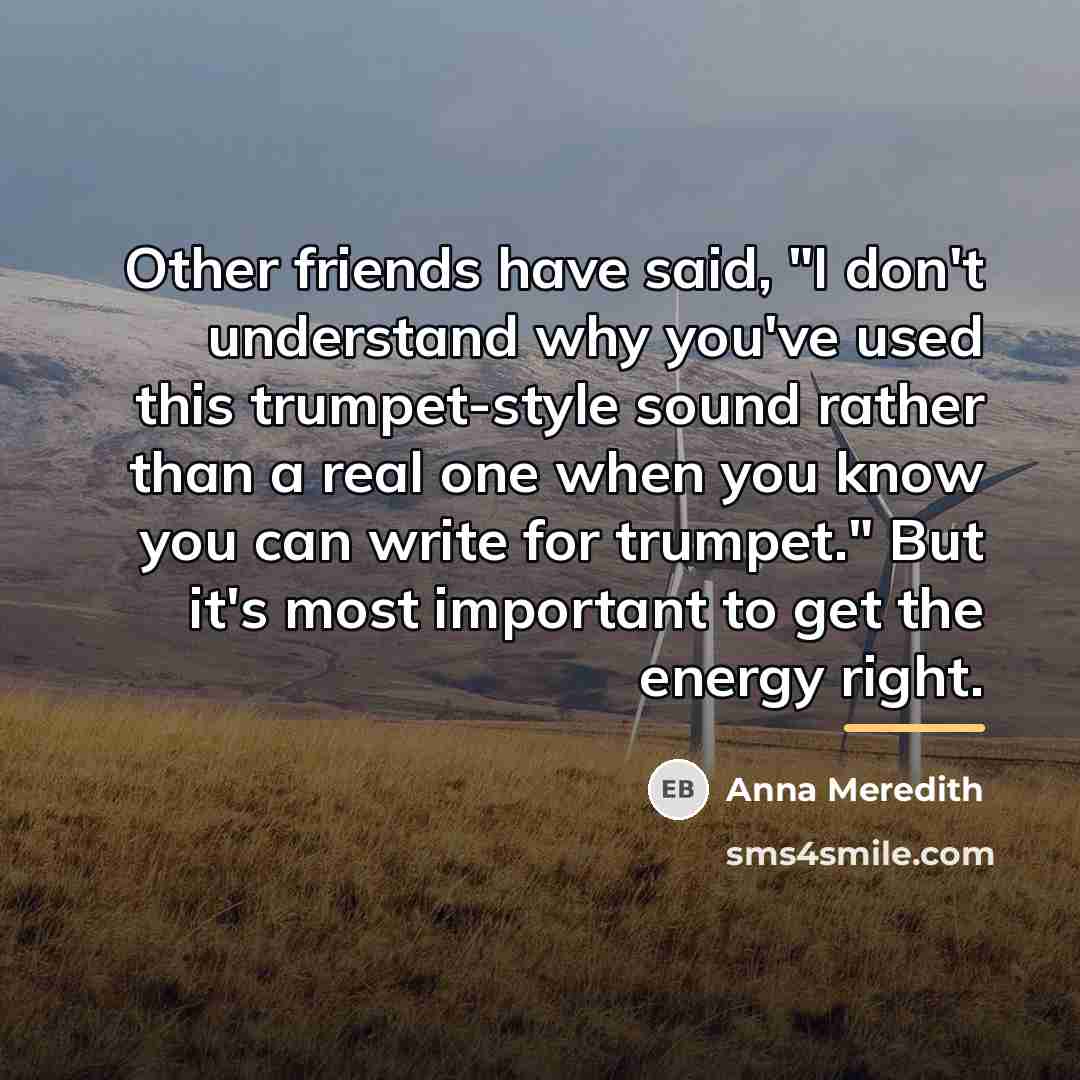 “Other friends have said, "I don't understand why you've used…” quote by Anna Meredith