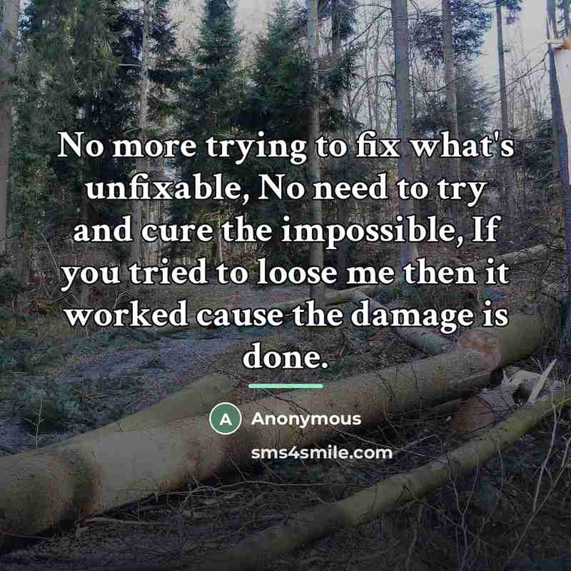 “No more trying to fix what's unfixable, No need to…” quote by Anonymous