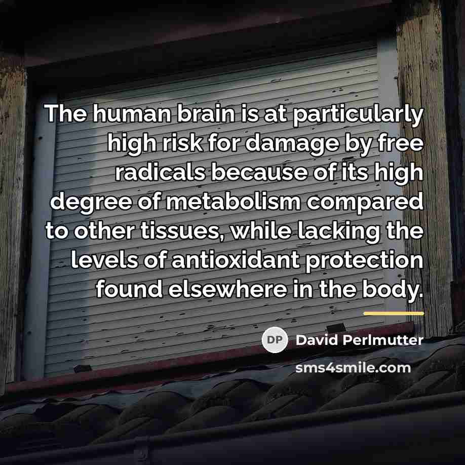 “The human brain is at particularly high risk for damage…” quote by David Perlmutter