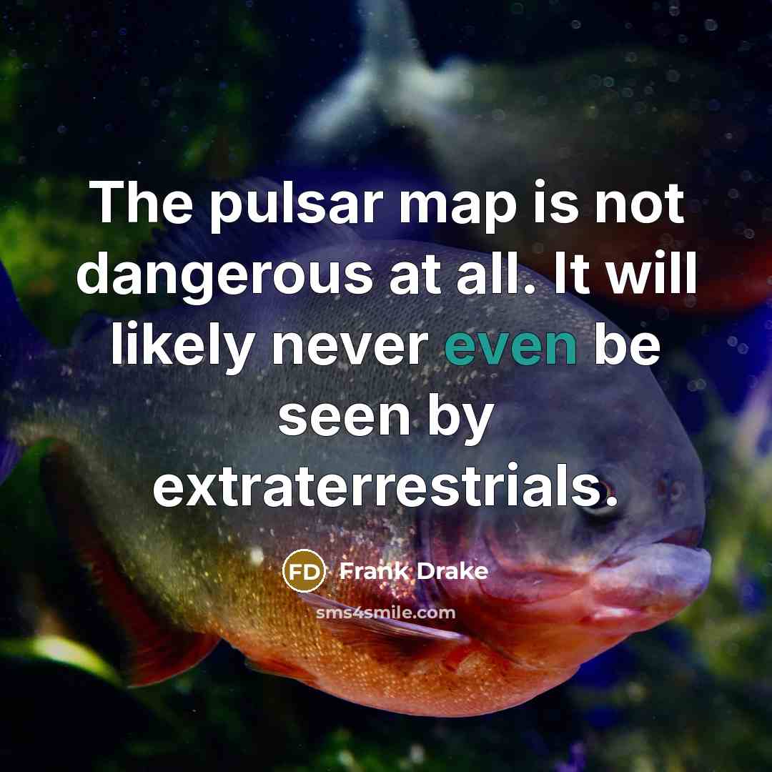 “The pulsar map is not dangerous at all. It will…” quote by Frank Drake