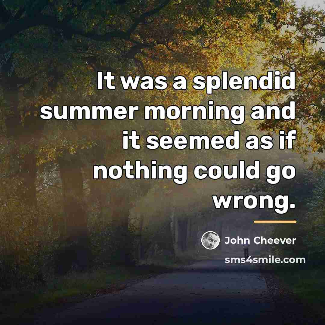 “It was a splendid summer morning and it seemed as…” quote by John Cheever