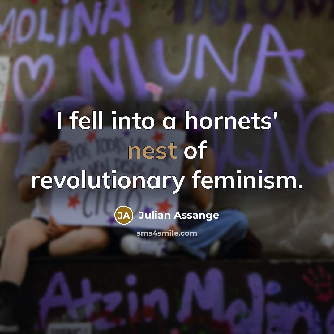 “I fell into a hornets' nest of revolutionary feminism.…” quote by Julian Assange