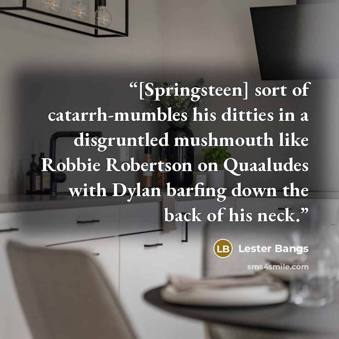 “[Springsteen] sort of catarrh-mumbles his ditties in a disgruntled mushmouth like Robbie Robertson on Quaaludes with Dylan barfing down the back of his neck.” quote by Lester Bangs