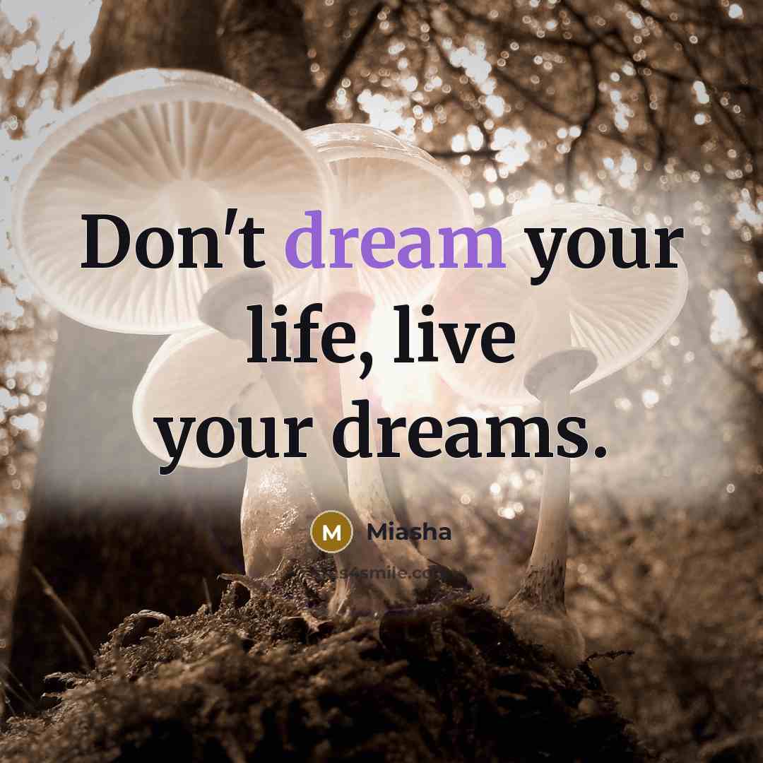 “Don't dream your life, live your dreams.” quote by Miasha