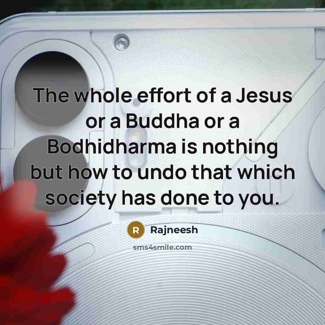 “The whole effort of a Jesus or a Buddha or…” quote by Rajneesh