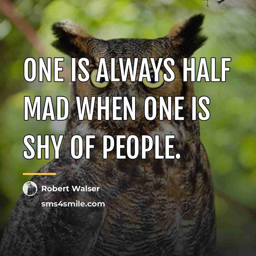 “One is always half mad when one is shy of…” quote by Robert Walser