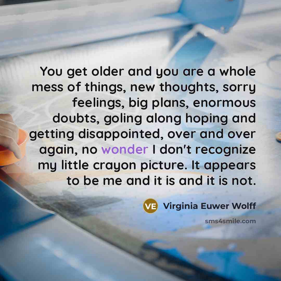 “You get older and you are a whole mess of…” quote by Virginia Euwer Wolff