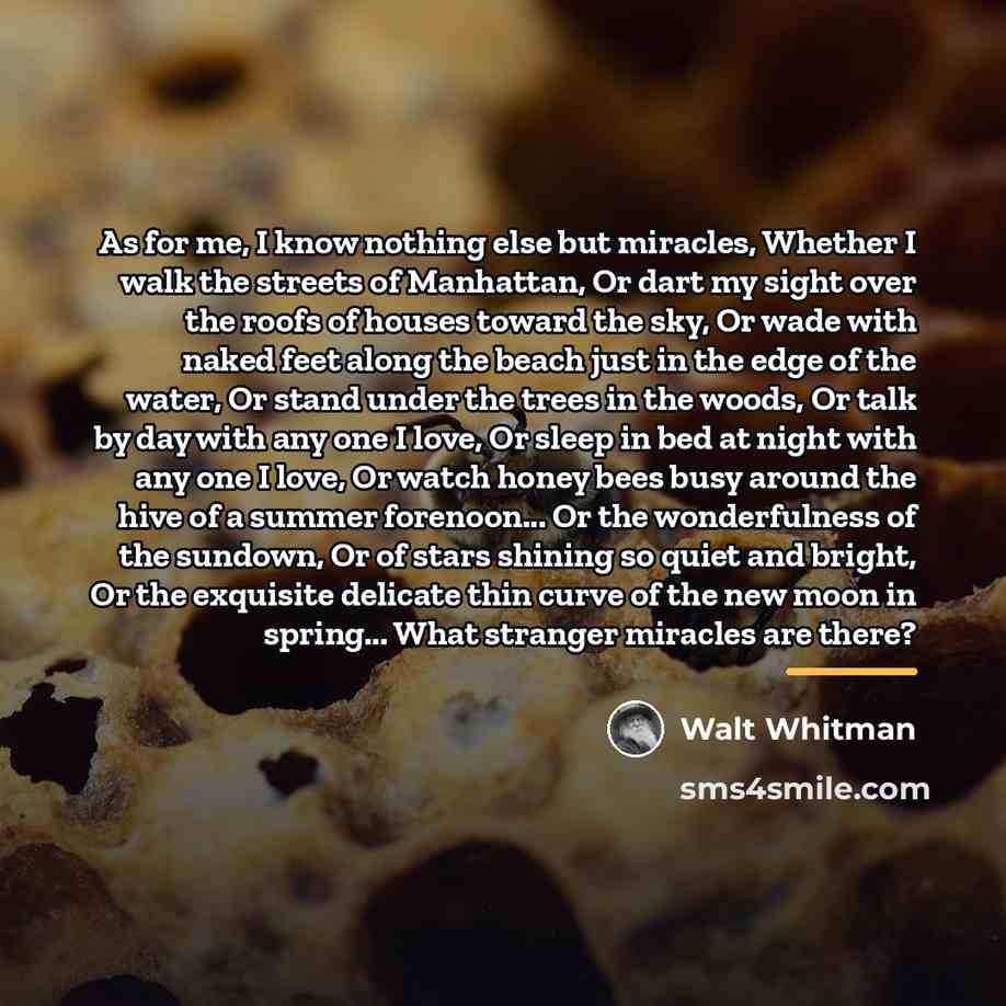 “As for me, I know nothing else but miracles, Whether…” quote by Walt Whitman