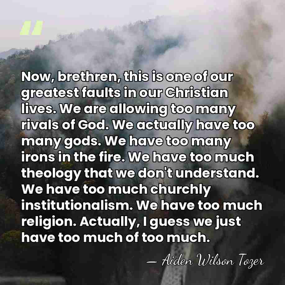 Now, brethren, this is one of our greatest faults in our Christian&hellip; - Aiden Wilson Tozer
