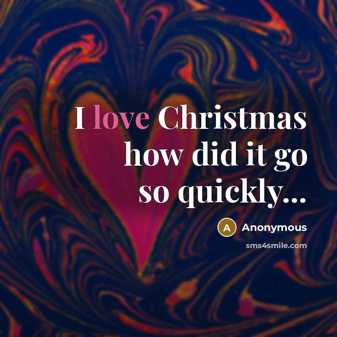 “I love Christmas how did it go so quickly...…” quote by Anonymous