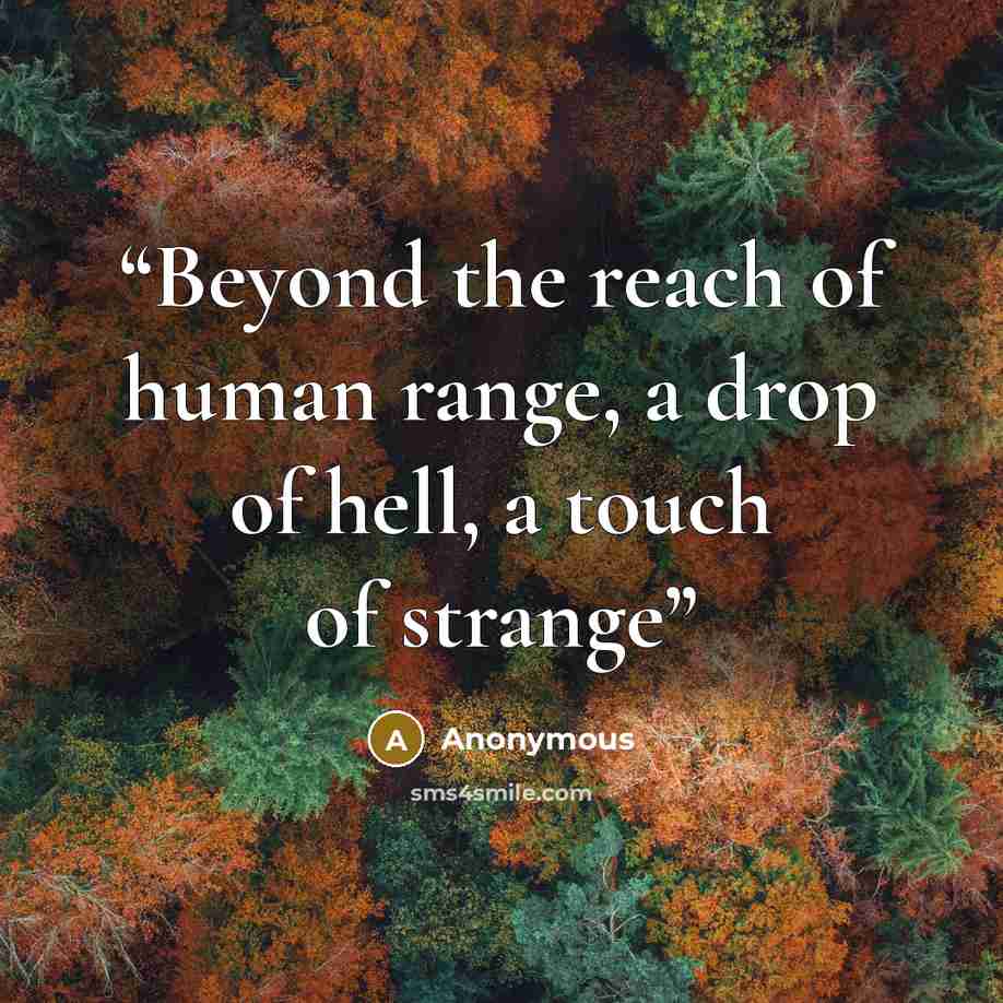 “Beyond the reach of human range, a drop of hell, a touch of strange” quote by Anonymous