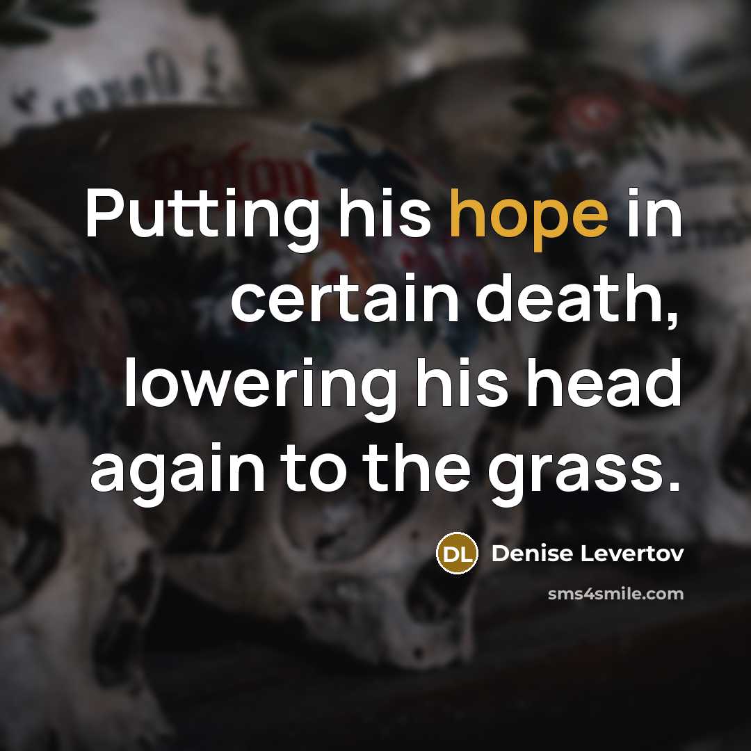 “Putting his hope in certain death, lowering his head again…” quote by Denise Levertov