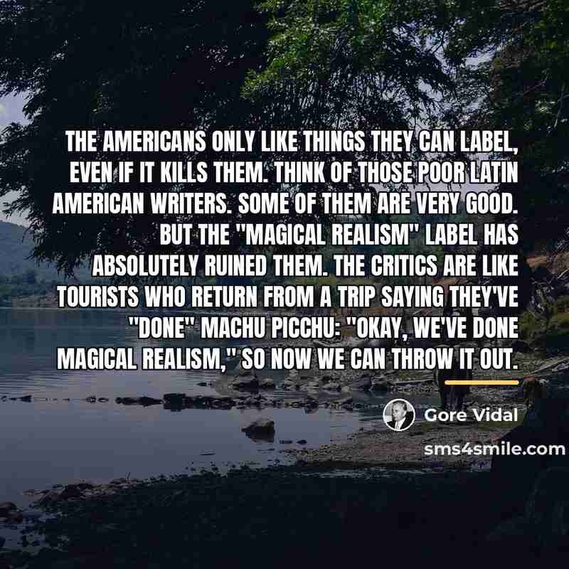 “The Americans only like things they can label, even if…” quote by Gore Vidal