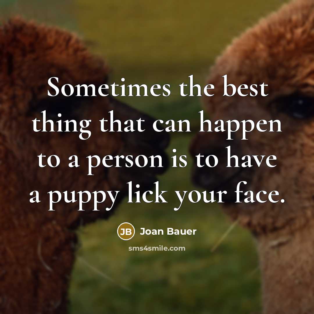 “Sometimes the best thing that can happen to a person is to have a puppy lick your face.” quote by Joan Bauer