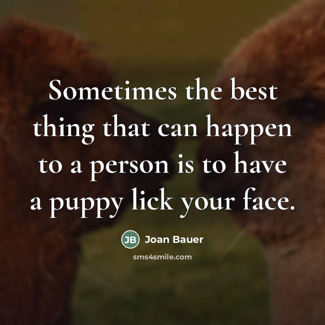 “Sometimes the best thing that can happen to a person…” quote by Joan Bauer