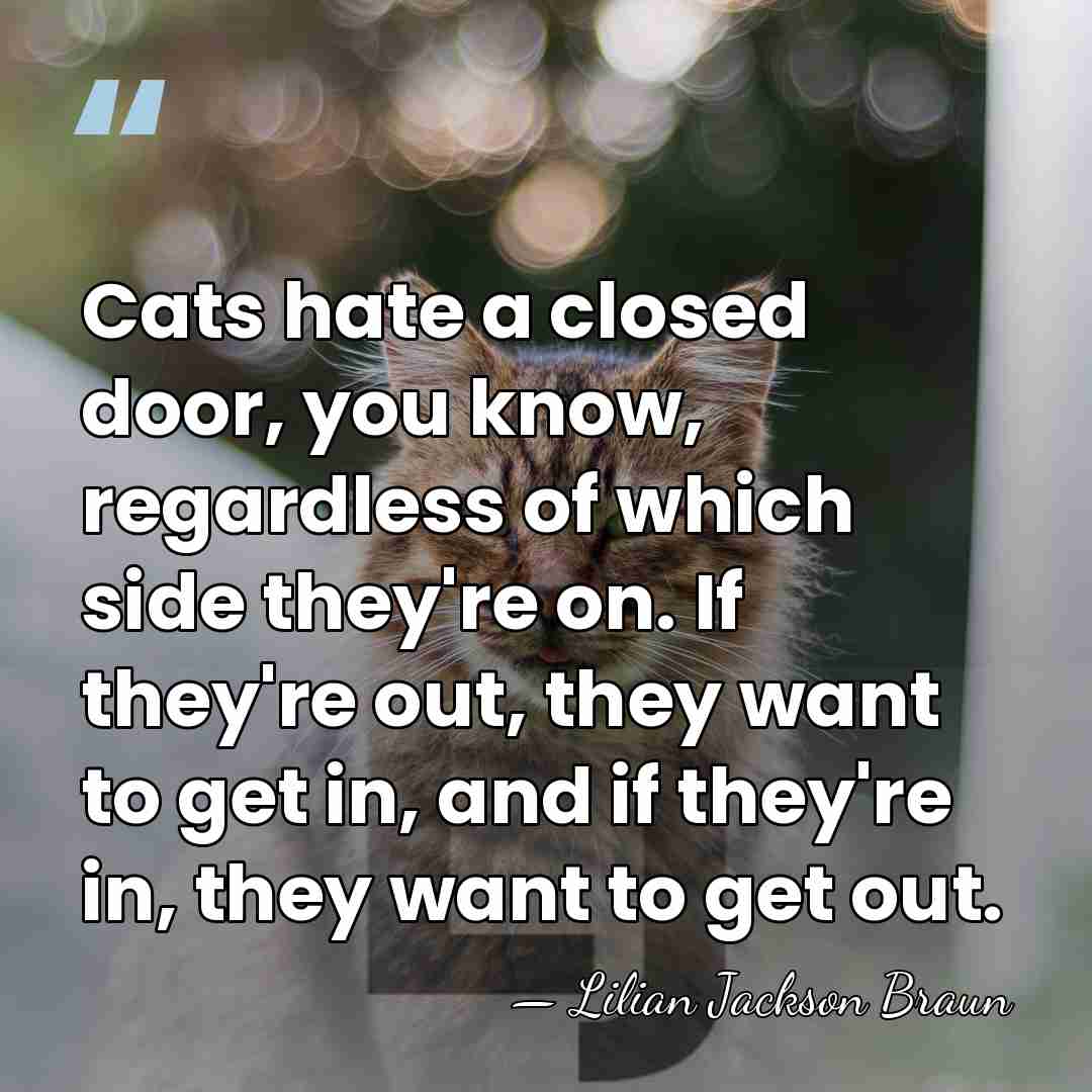 Cats hate a closed door, you know, regardless of which side they're&hellip; - Lilian Jackson Braun