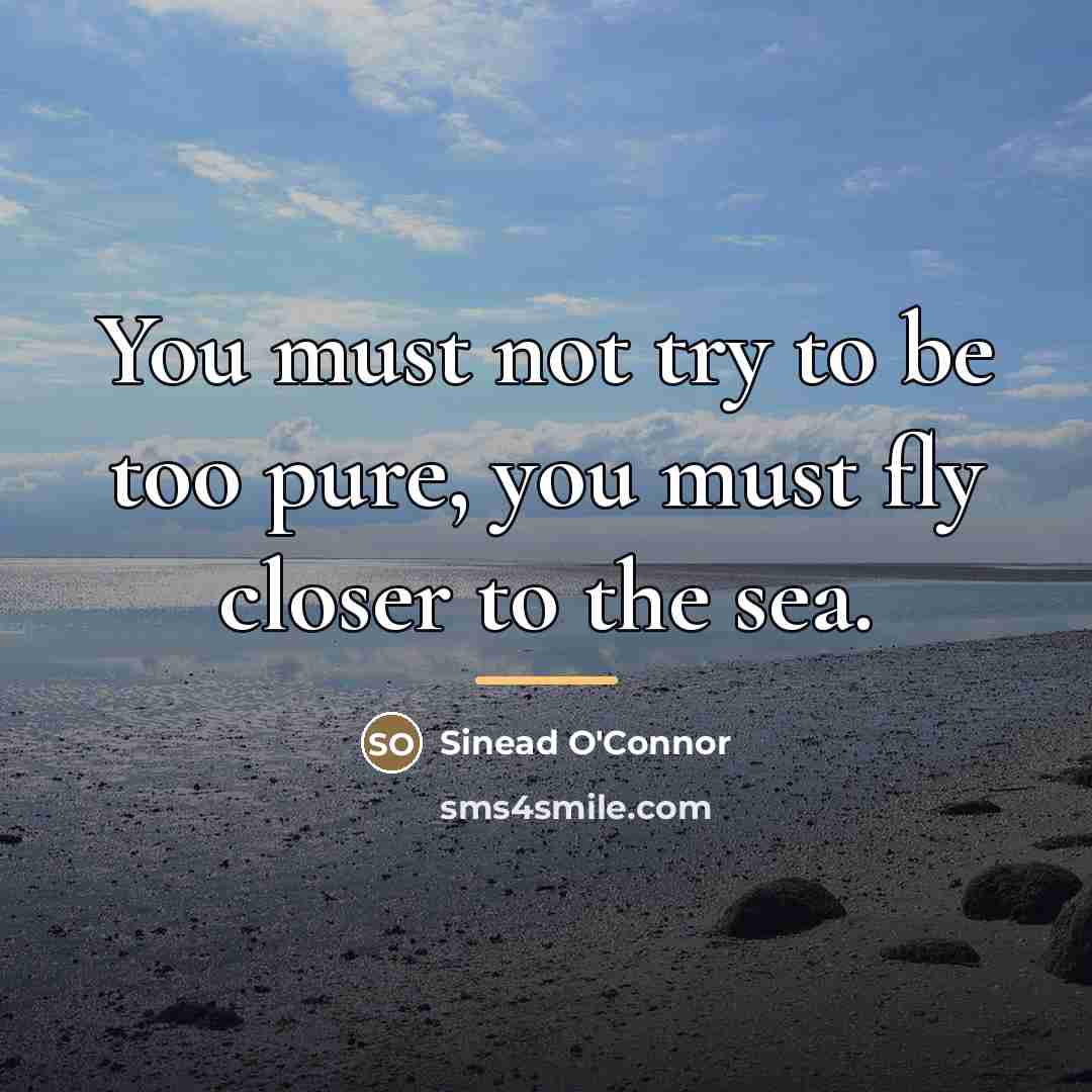 “You must not try to be too pure, you must…” quote by Sinead O'Connor