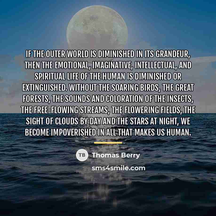 “If the outer world is diminished in its grandeur, then…” quote by Thomas Berry