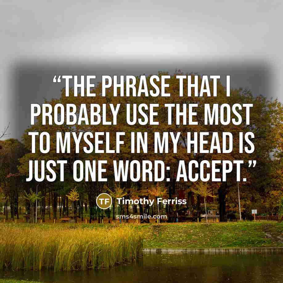 “The phrase that I probably use the most to myself in my head is just one word: accept.” quote by Timothy Ferriss