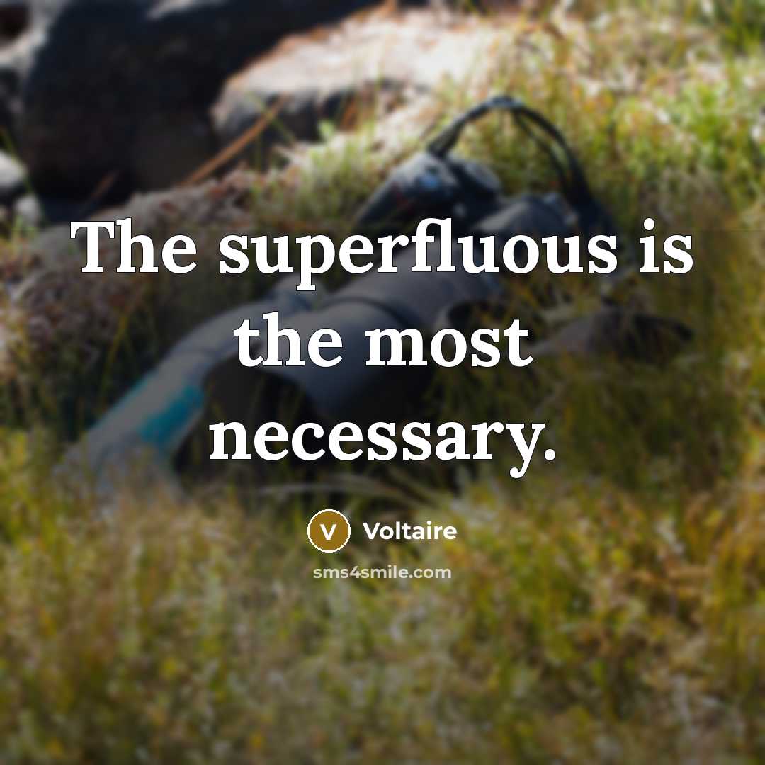 “The superfluous is the most necessary.…” quote by Voltaire