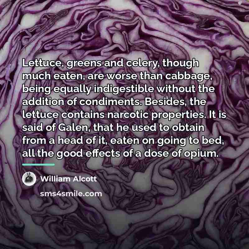 “Lettuce, greens and celery, though much eaten, are worse than…” quote by William Alcott