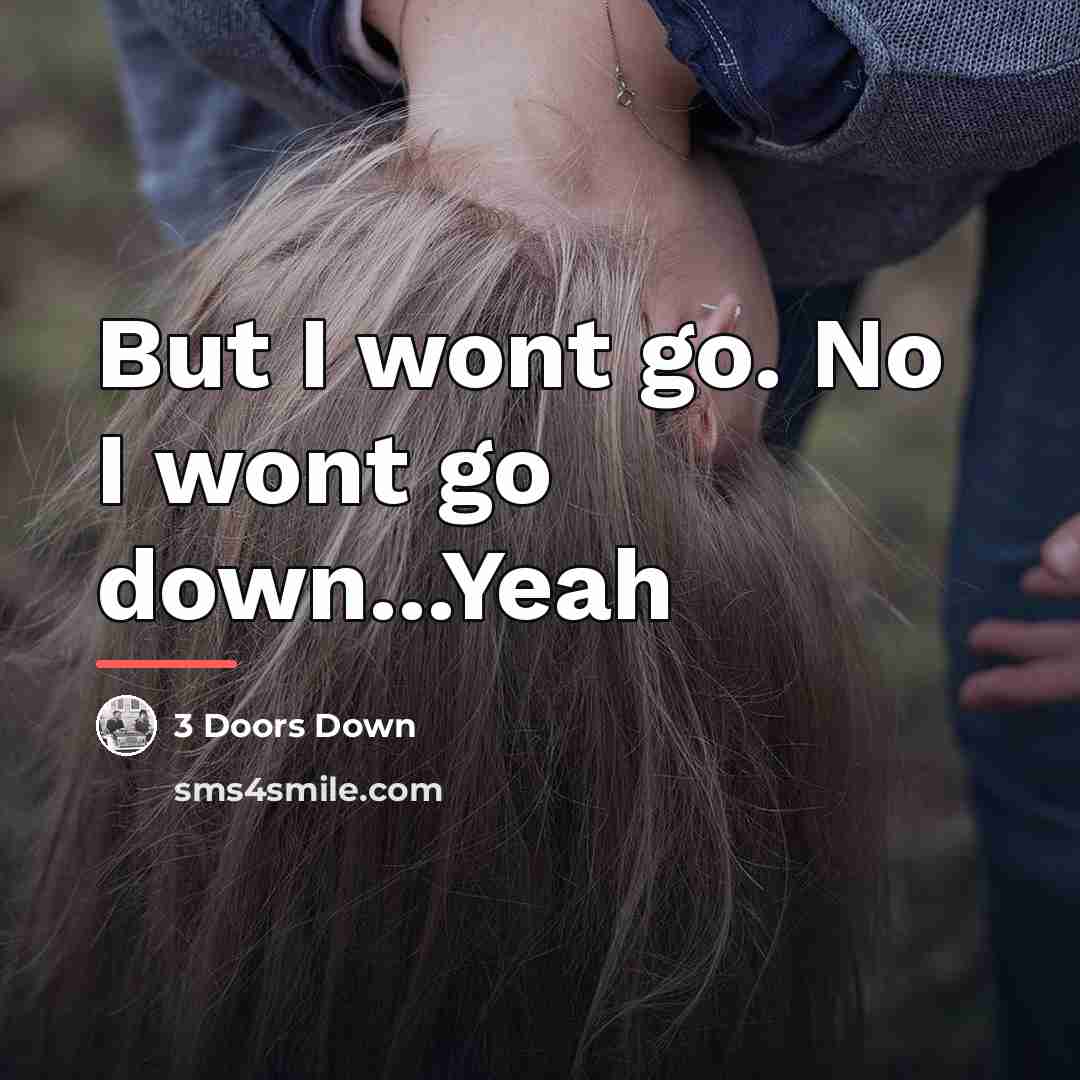 “But I wont go. No I wont go down...Yeah…” quote by 3 Doors Down