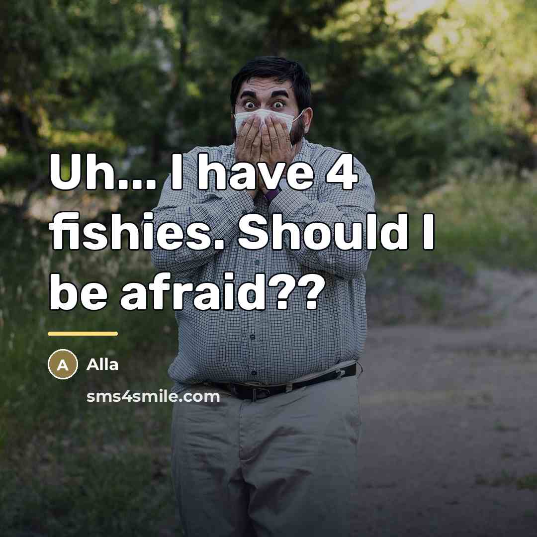 “Uh... I have 4 fishies. Should I be afraid??…” quote by Alla