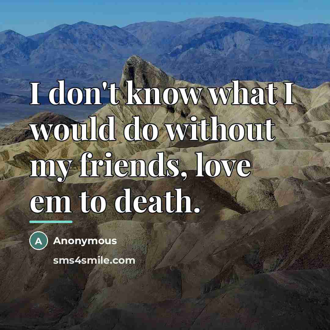 “I don't know what I would do without my friends,…” quote by Anonymous