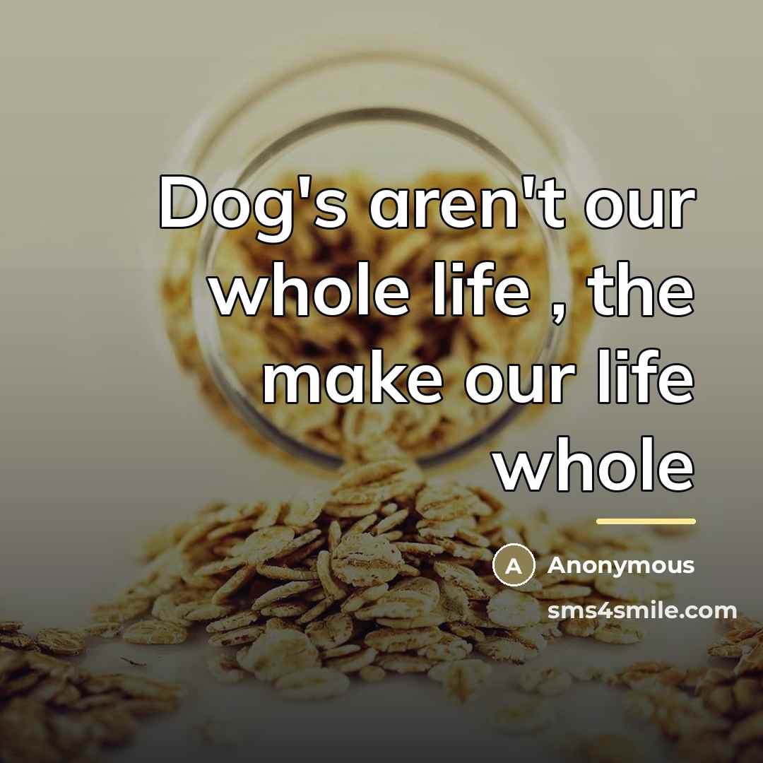 “Dog's aren't our whole life , the make our life…” quote by Anonymous
