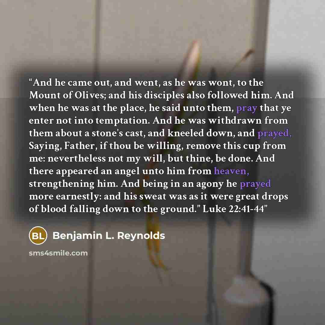 “And he came out, and went, as he was wont, to the Mount of Olives; and his disciples also followed him. And when he was at the place, he said unto them, pray that ye enter not into temptation. And he was withdrawn from them about a stone's cast, and kneeled down, and prayed, Saying, Father, if…” quote by Benjamin L. Reynolds