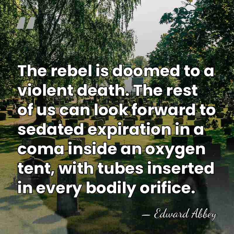 The rebel is doomed to a violent death. The rest of us&hellip; - Edward Abbey