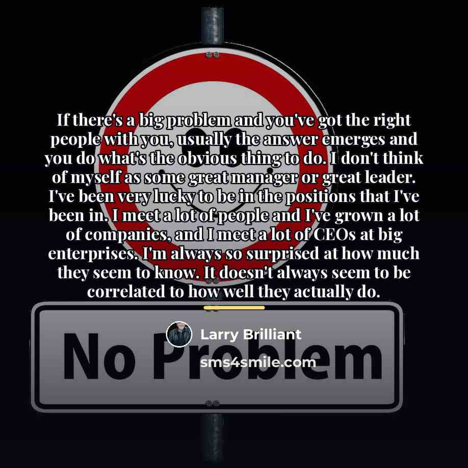 “If there's a big problem and you've got the right…” quote by Larry Brilliant
