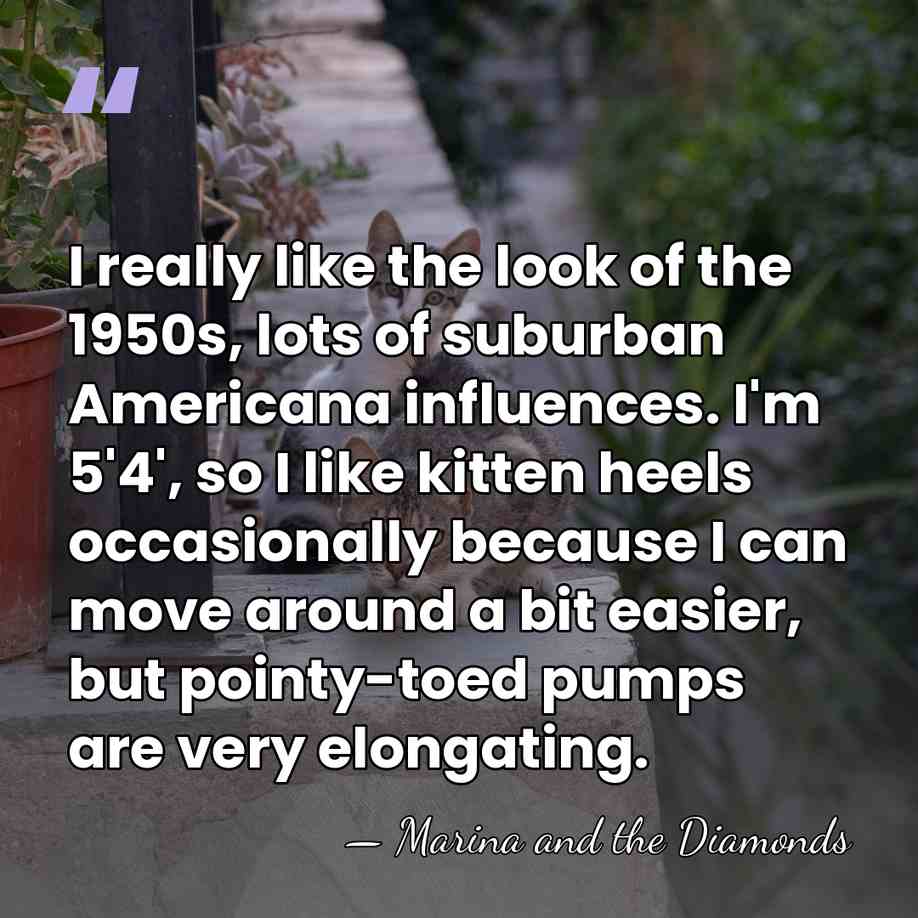I really like the look of the 1950s, lots of suburban Americana&hellip; - Marina and the Diamonds