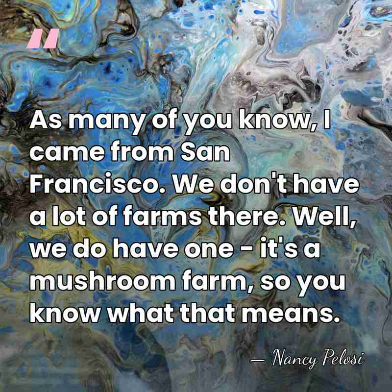 As many of you know, I came from San Francisco. We don't&hellip; - Nancy Pelosi