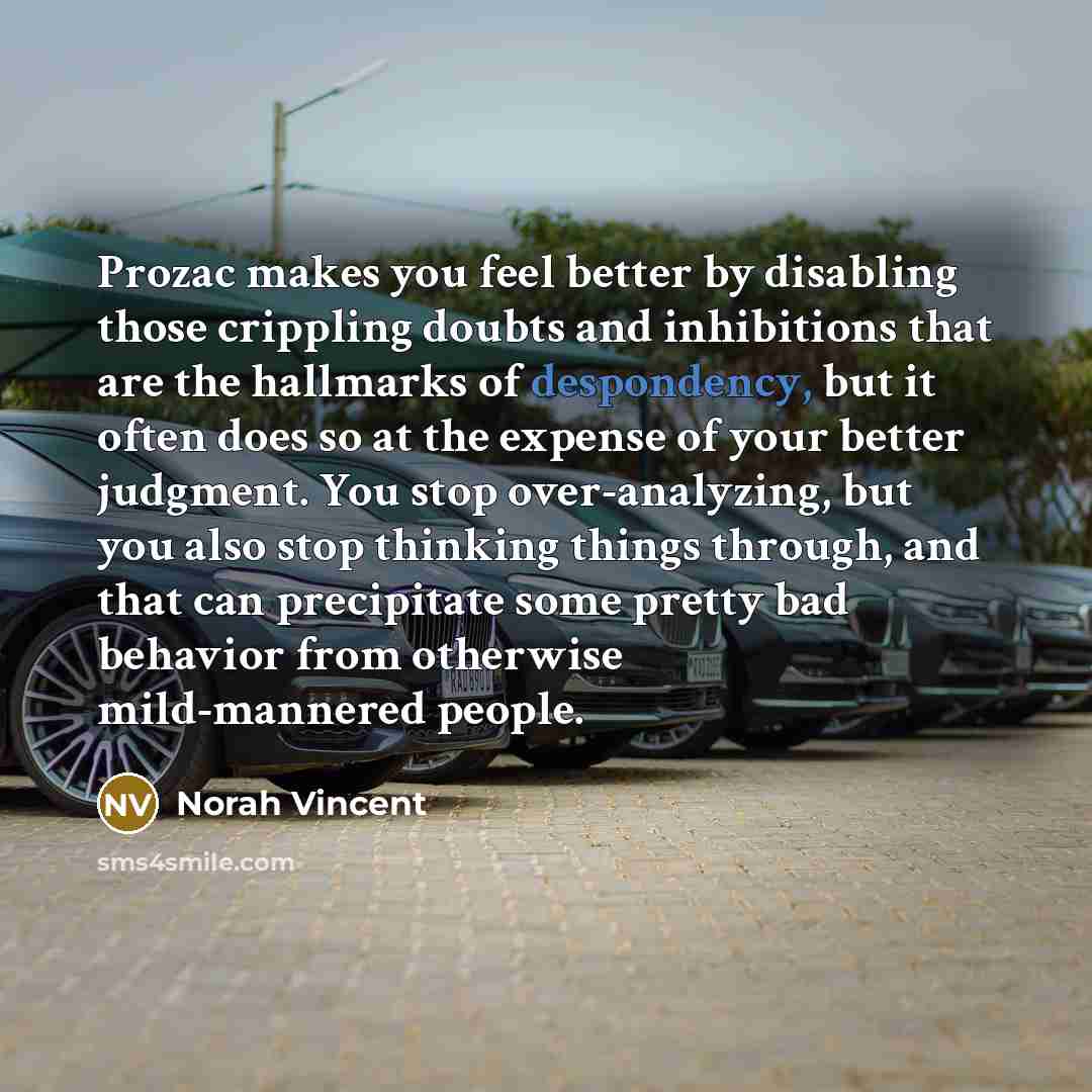 “Prozac makes you feel better by disabling those crippling doubts…” quote by Norah Vincent