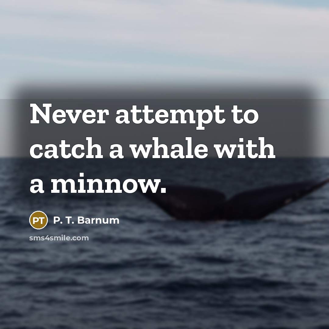 “Never attempt to catch a whale with a minnow.…” quote by P. T. Barnum