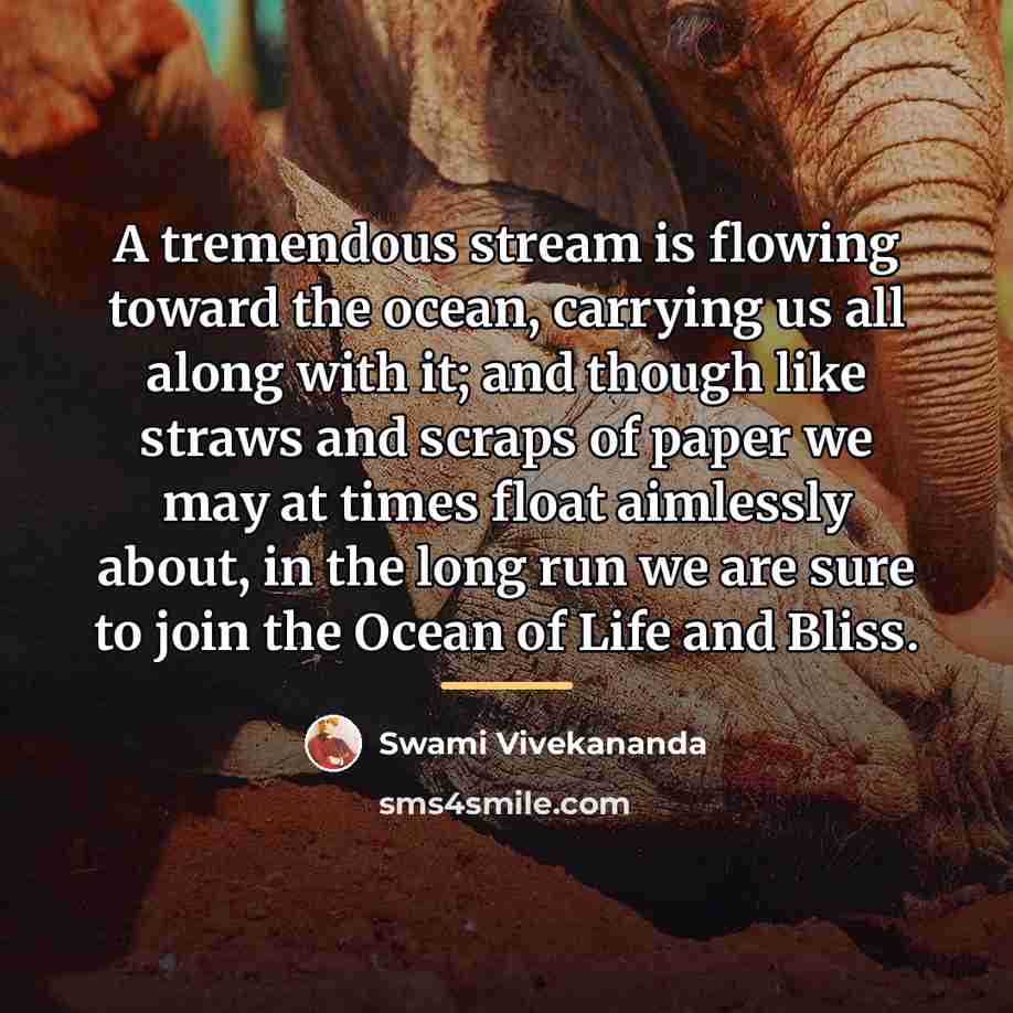 “A tremendous stream is flowing toward the ocean, carrying us…” quote by Swami Vivekananda